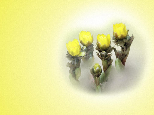 303280 (a): :1024x768